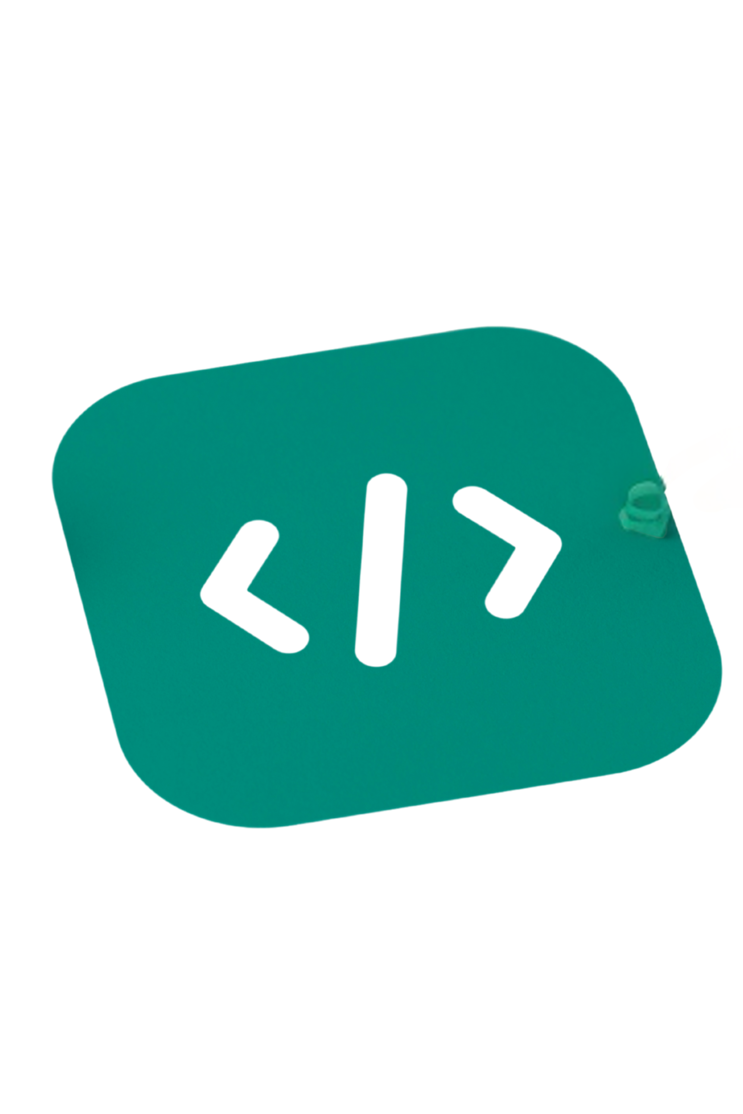 Software Development